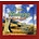 WALTZING IRISH STYLE, LET'S GO DANCING IN IRELAND - VARIOUS ARTISTS (CD)...i)