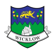 WICKLOW COUNTY STICKER..xxi)