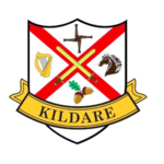 COUNTY KILDARE STICKER