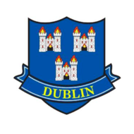 DUBLIN COUNTY STICKER..xxi)