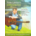 TOM LAVERTY - FAVOURITES (DVD)...i)