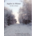 TOMMY HAYES - APPLES IN WINTER AN ODE TO NATURE (CD & DVD).. i)