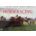 LEGENDS OF HORSERACING (DVD)
