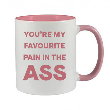 YOU'RE MY FAVOURITE PAIN IN THE ASS - NOVELTY MUG