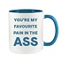 YOU'RE MY FAVOURITE PAIN IN THE ASS - NOVELTY MUG