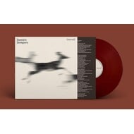 DAMIEN DEMPSEY - HOLYWELL (Vinyl LP).