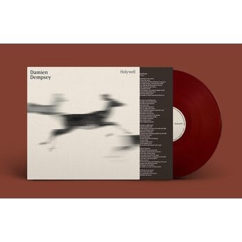 DAMIEN DEMPSEY - HOLYWELL (Vinyl LP)