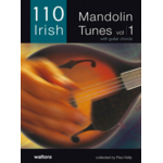 110 IRISH MANDOLIN TUNES BOOK.. i)