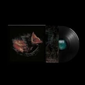 GURRIERS - NOBODY'S COMING TO SAVE YOU (Vinyl LP)