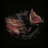 GURRIERS - NOBODY'S COMING TO SAVE YOU (Vinyl LP)