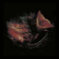 GURRIERS - NOBODY'S COMING TO SAVE YOU (CD).