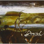 DERVISH - THE THRUSH IN THE STORM (CD)...