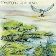 JIMI SLEVIN - FREEFLIGHT