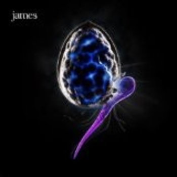 JAMES - THE NIGHT BEFORE
