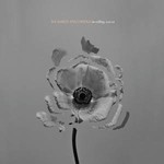 THE NAKED AND FAMOUS - IN ROLLING WAVES (CD).  )