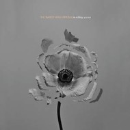 THE NAKED AND FAMOUS - IN ROLLING WAVES (CD).  )