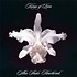 KINGS OF LEON - AHA SHAKE HEARTBREAK (CD)