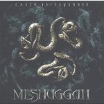 MESHUGGAH - CATCH THIRTY