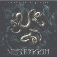MESHUGGAH - CATCH THIRTY