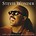 STEVIE WONDER - THE DEFINITIVE COLLECTION (CD).. i)
