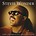 STEVIE WONDER - THE DEFINITIVE COLLECTION (CD).