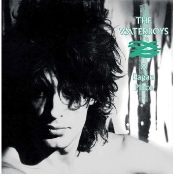 THE WATERBOYS - A PAGAN PLACE (Vinyl LP)