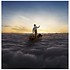 PINK FLOYD - ENDLESS RIVER (Vinyl LP)