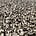 GEORGE MICHAEL - LISTEN WITHOUT PREJUDICE (CD).
