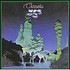 YES - CLASSIC YES