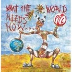 PUBLIC IMAGE LTD - WHAT THE WORLD NEEDS NOW