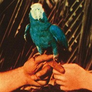 ANDREW BIRD - ARE YOU SERIOUS CD