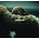 BEYONCE - LEMONADE (CD & DVD).xx)