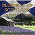 BLUEBELLS OF SCOTLAND THE SOUND OF SCOTLAND