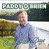 PADDY O'BRIEN - ONE OF THESE DAYS (CD)