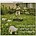 SNOW PATROL - SONGS FOR POLARBEARS (CD)...