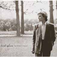 DAVID SYLVIAN - BRILLIANT TREES (CD).. )