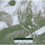 DAVID SYLVIAN - SECRETS OF THE BEEHIVE (CD).