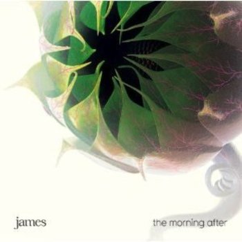 JAMES - THE MORNING AFTER