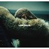 BEYONCE - LEMONADE (CD & DVD)