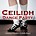 Gordon Pattullo's Ceilidh Band - Ceilidh Dance Party (CD)...