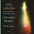 A TERRIBLE BEAUTY (Áille na hÁille) - CHARLIE LENNON (CD)