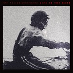 The Felice Brothers - Life In The Dark (CD)