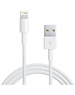 iPadspullekes.nl Lightning USB oplaad kabel (1 meter)