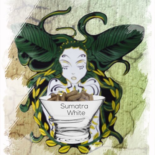 Sumatra White  Capsules 