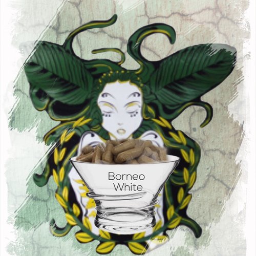 Borneo White Kapseln 