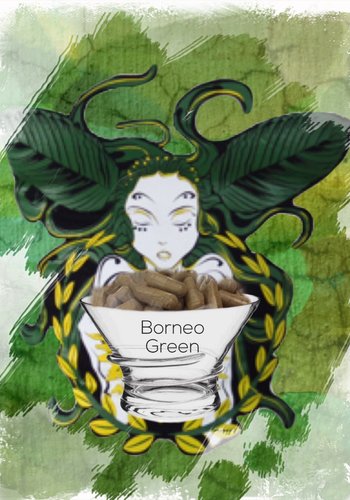 Borneo green  Kapseln 