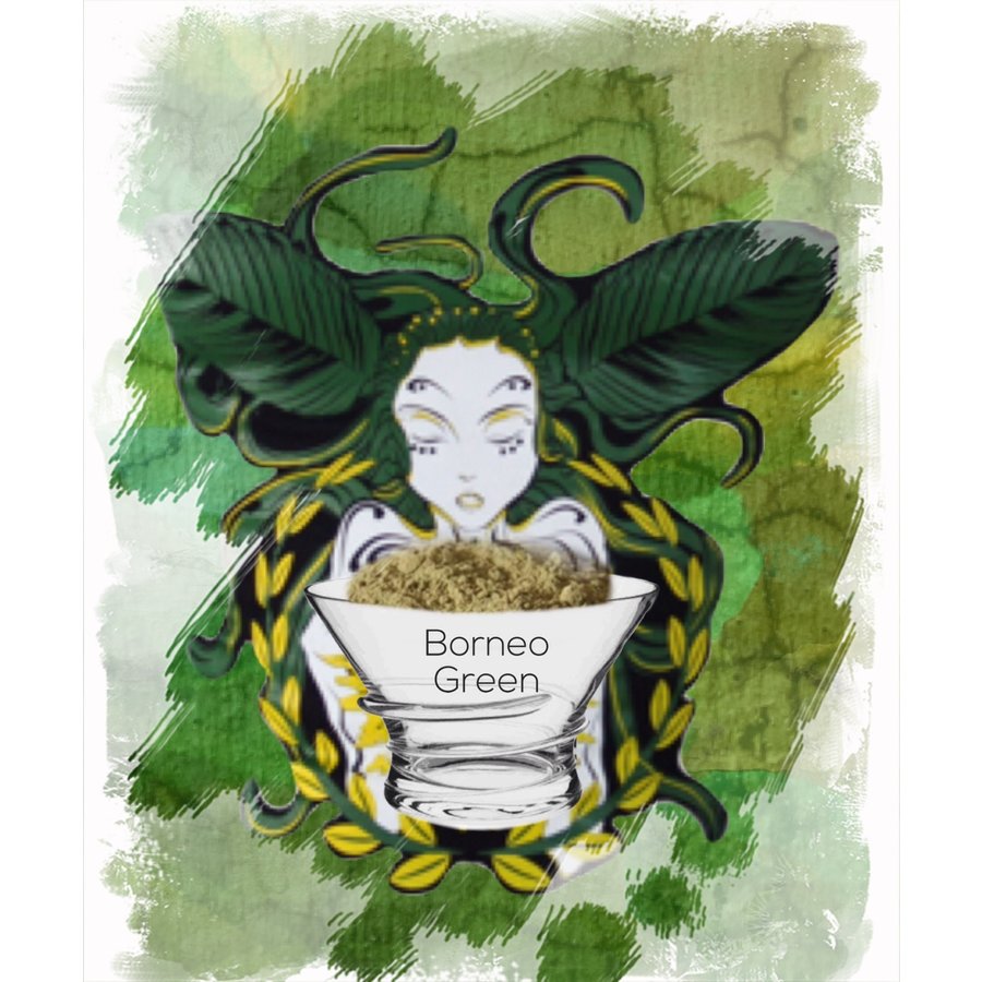 Borneo green vein-1