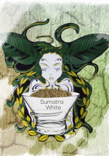 Sumatran white. 