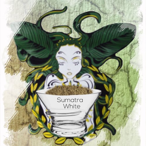 Sumatra white 