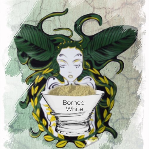 Bornean White 